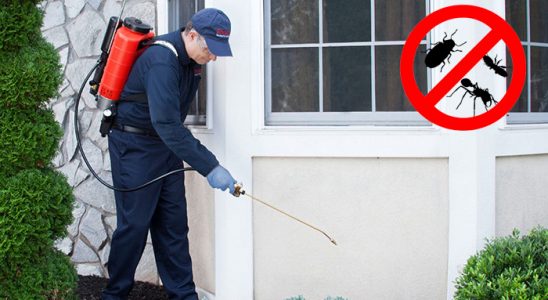 Köprüköy Gümüşkurt İlaçlama böcek ilaçlama ve haşere kontrolü — ilaclama-tr.com